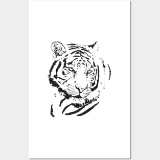 black white tiger head art Posters and Art